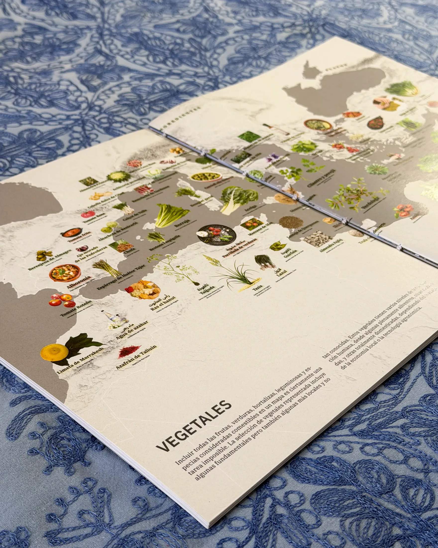 Editorial map spread with Mediterranean ingredients