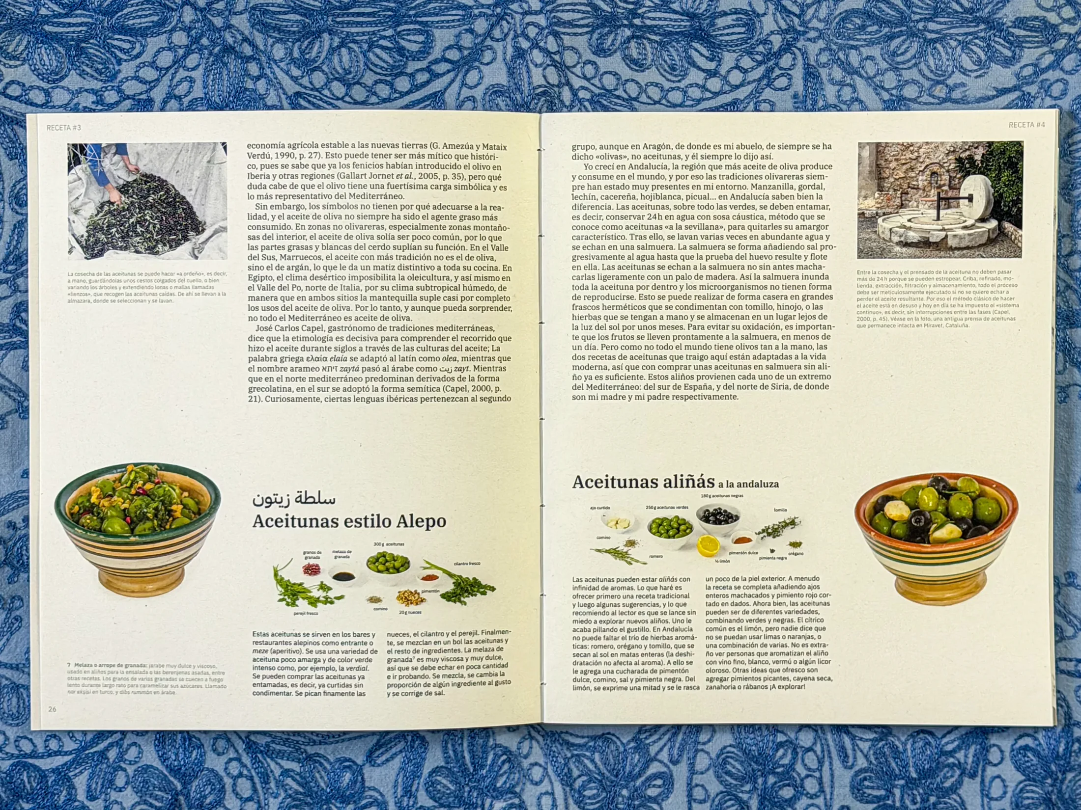 Editorial spread with olive recipes and illustrations