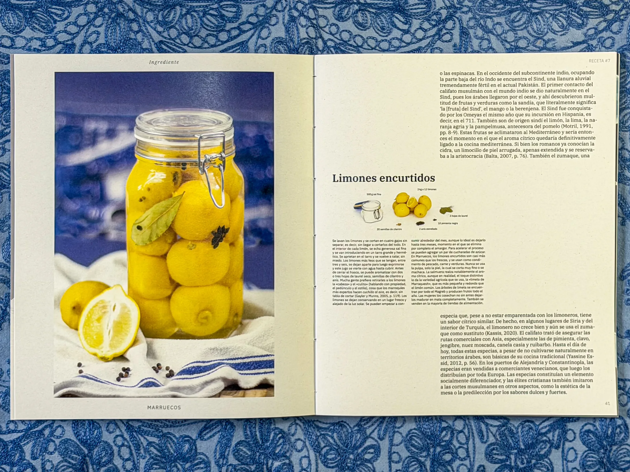Editorial spread about preserved lemons